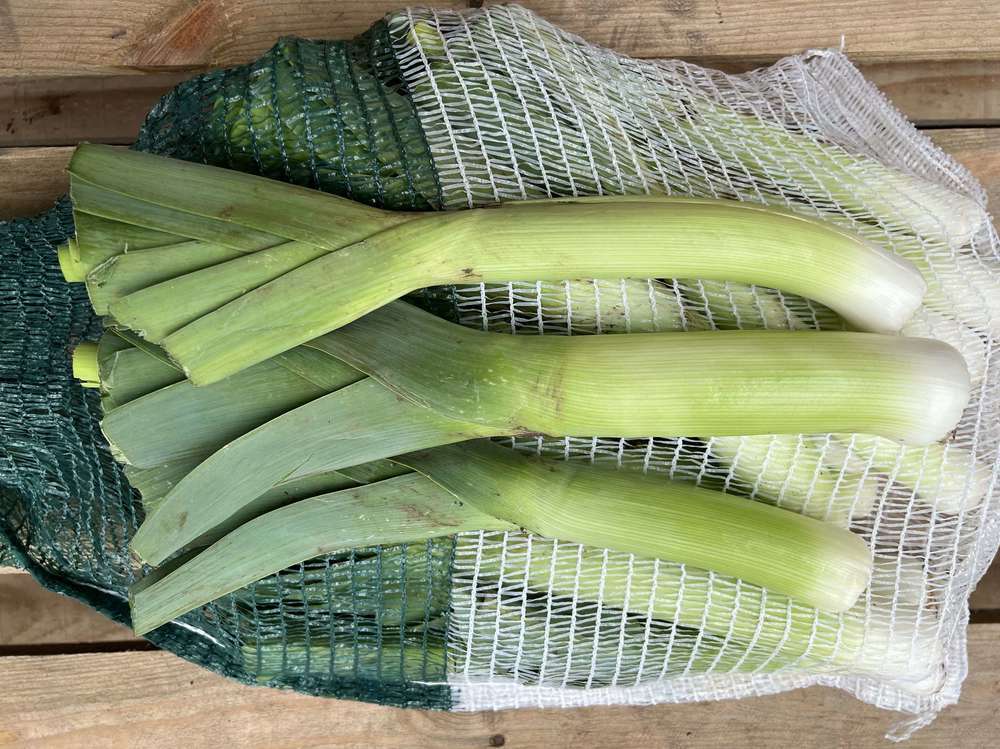 Organic Leeks