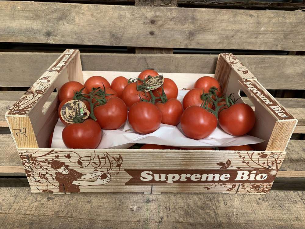 Tomatoes - Spanish Organic vine - 4 - 8 units