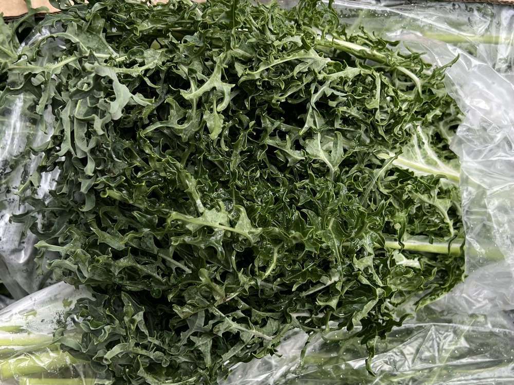 Organic Kale Seaweed