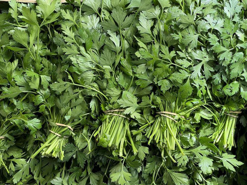 Parsley Flat