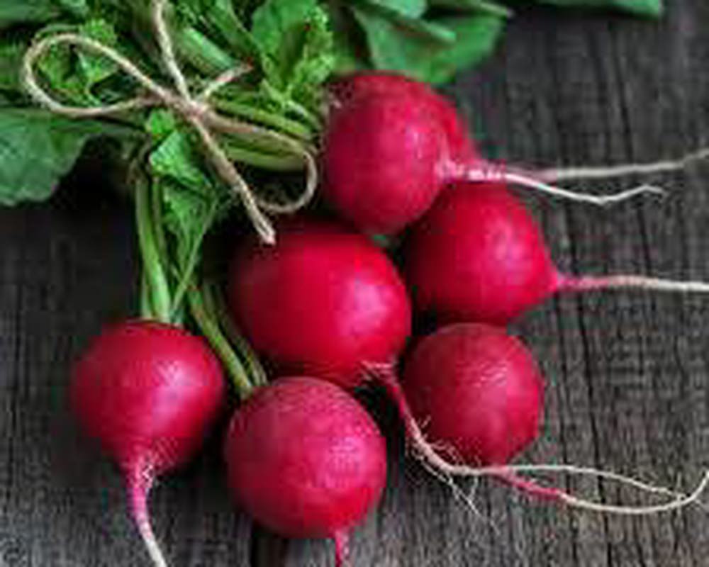 Radish (10 in a bunch)