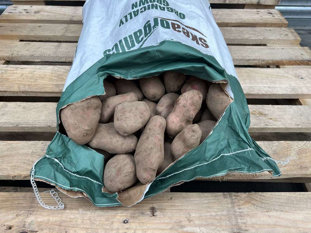 Organic Potato Sarpo Mira