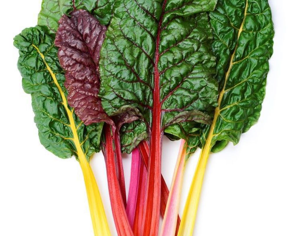 Chard: Rainbow