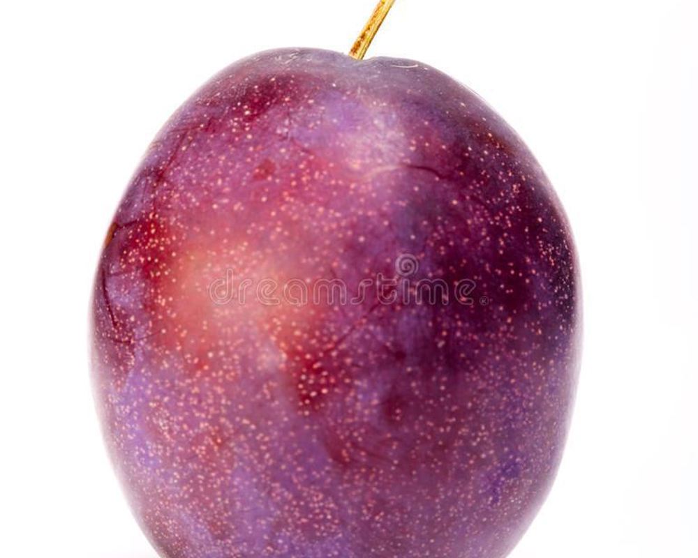 Plum: Early Queen