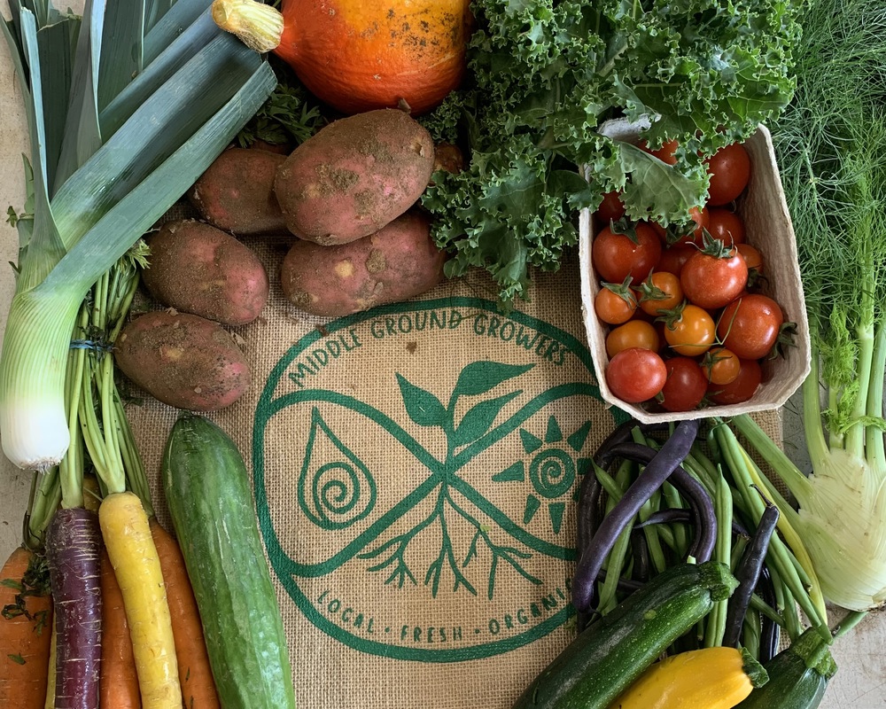 Large Organic Veg Bag