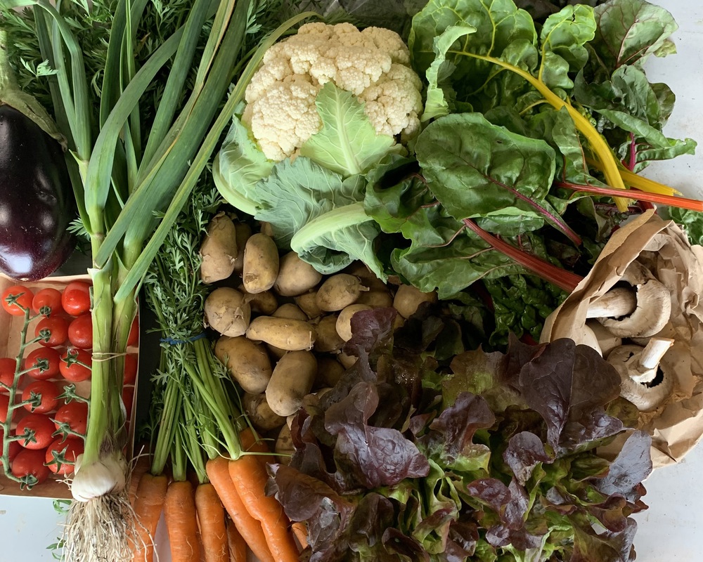 Large Organic Veg Bag
