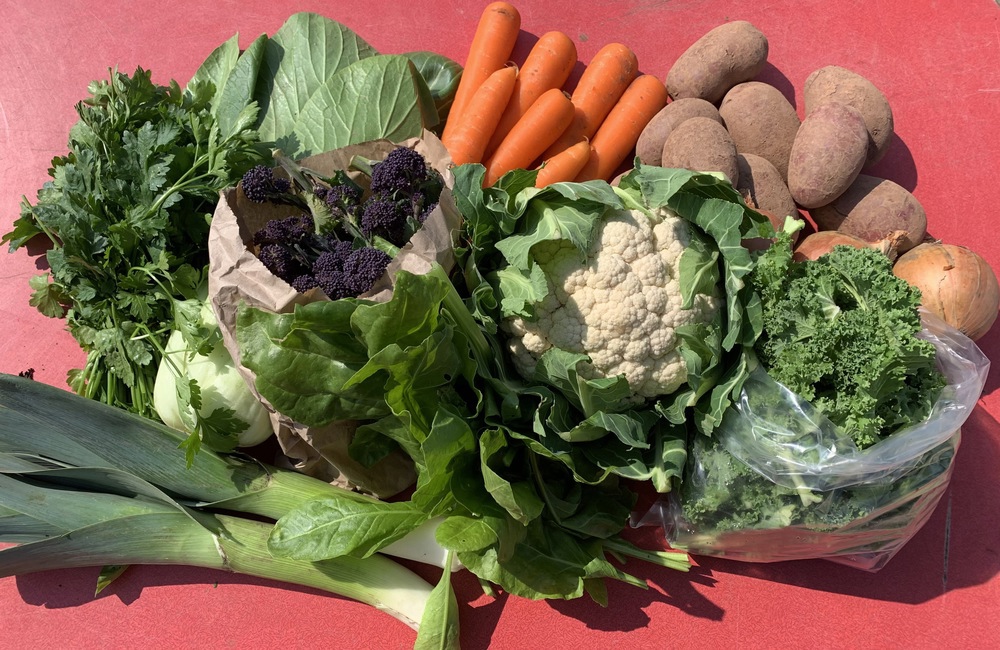 Large Organic Veg Bag