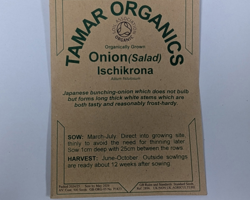 (Seeds) Onion (Salad) - Ischikrona