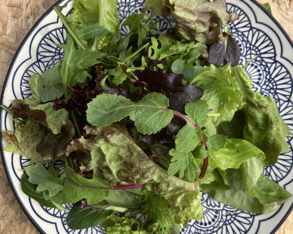 Mixed leaf salad bag