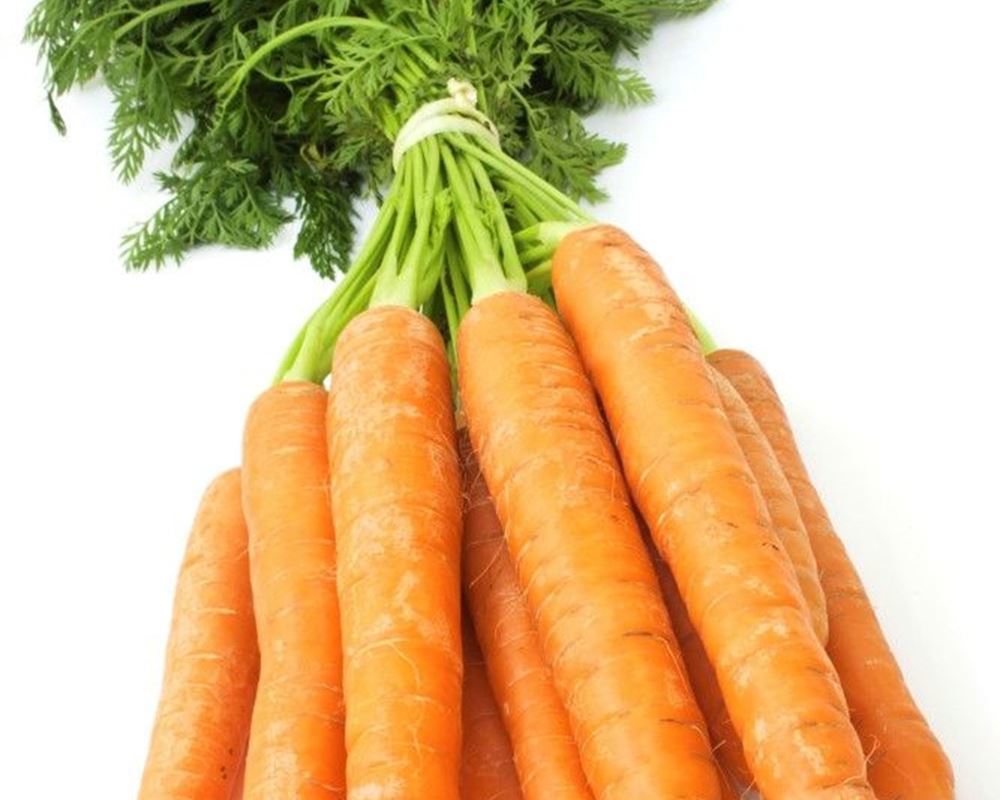 Carrots Bunched