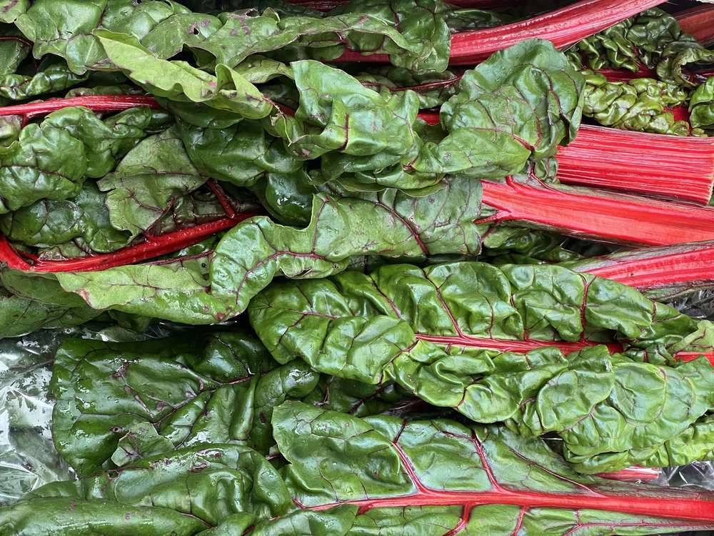 Organic Ruby Chard