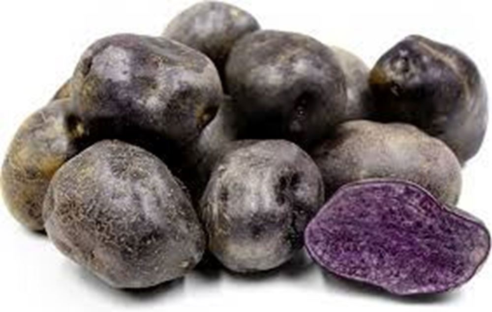Potato: Midnight Pearl