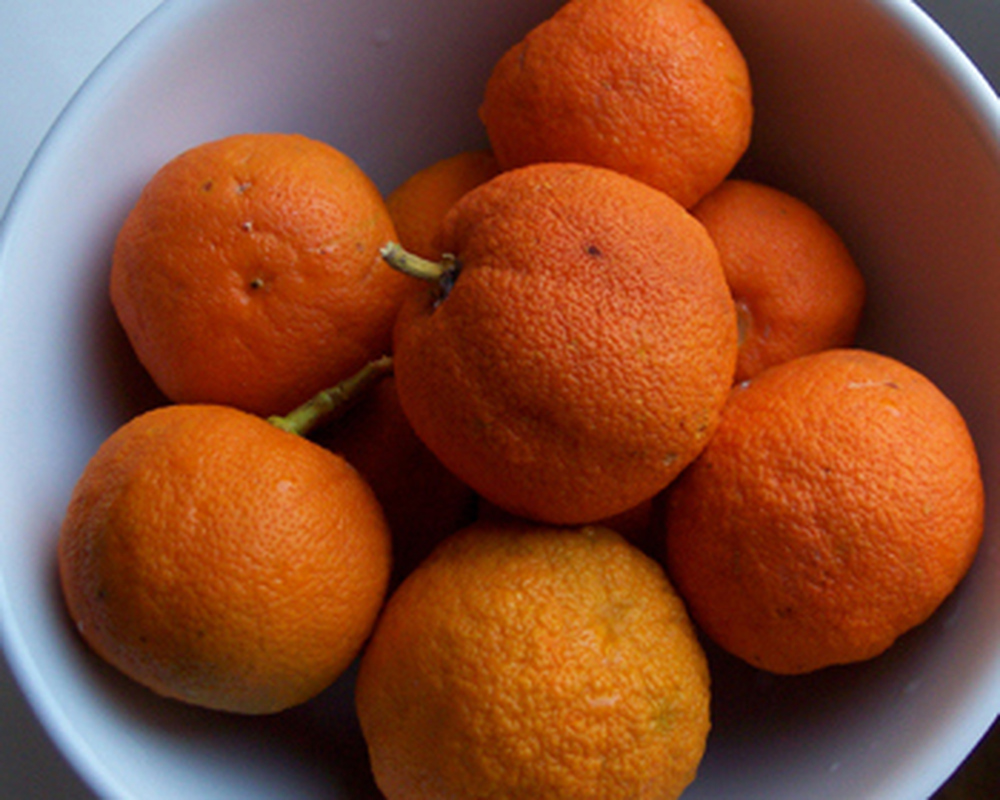 Seville Oranges