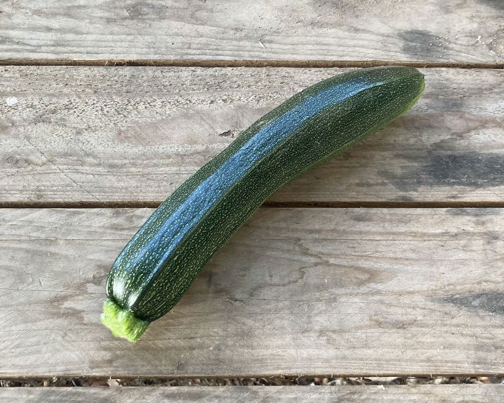 Green Courgette