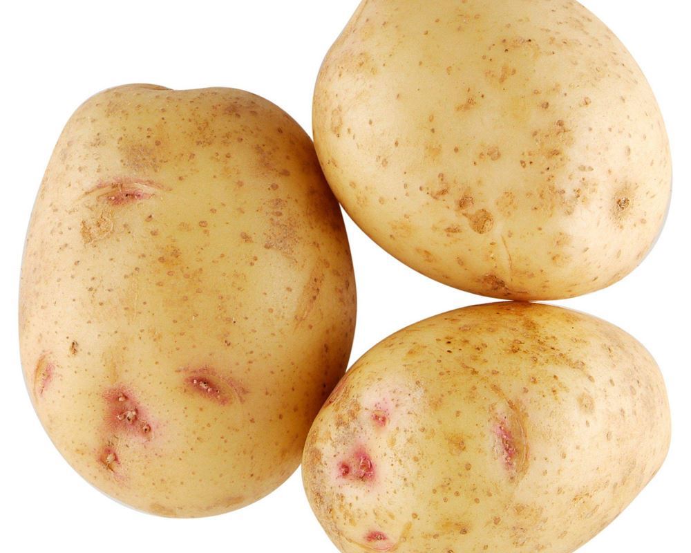 Potato: Baking