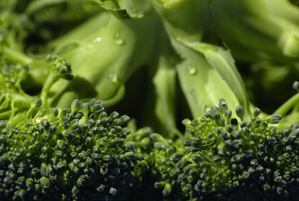 Broccoli (Spain)
