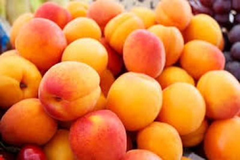Apricots 250g