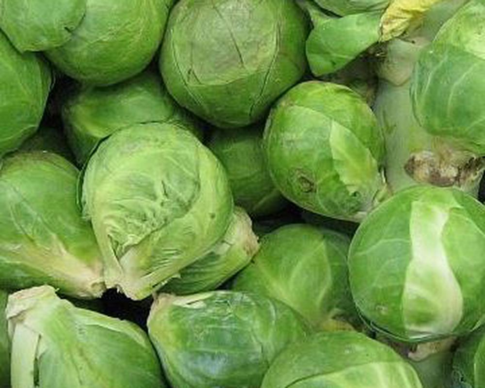 Brussel sprouts (Bagged)