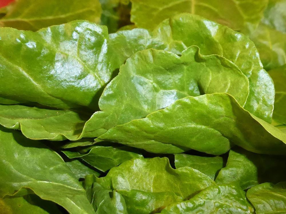 V.Spinach approx 250g