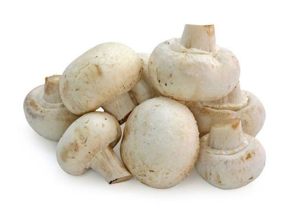 Mushroom: White
