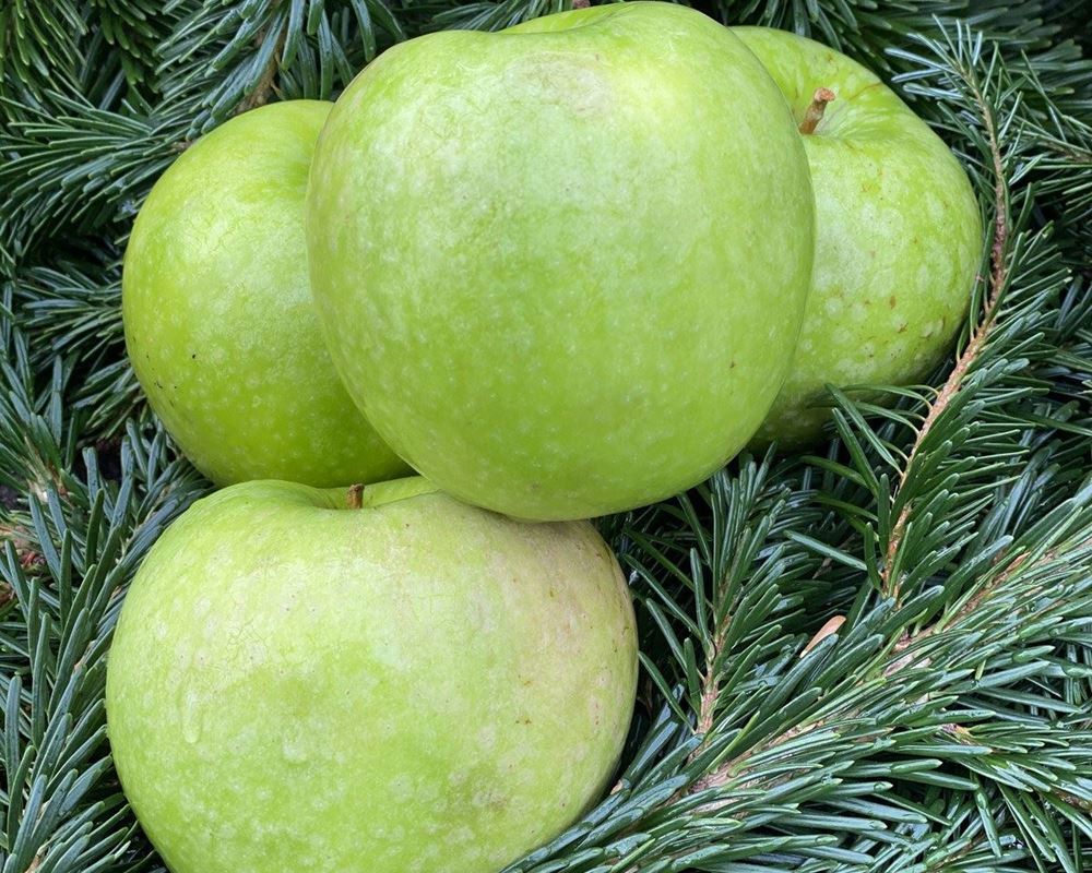 Apple - Granny Smith - approx 500g