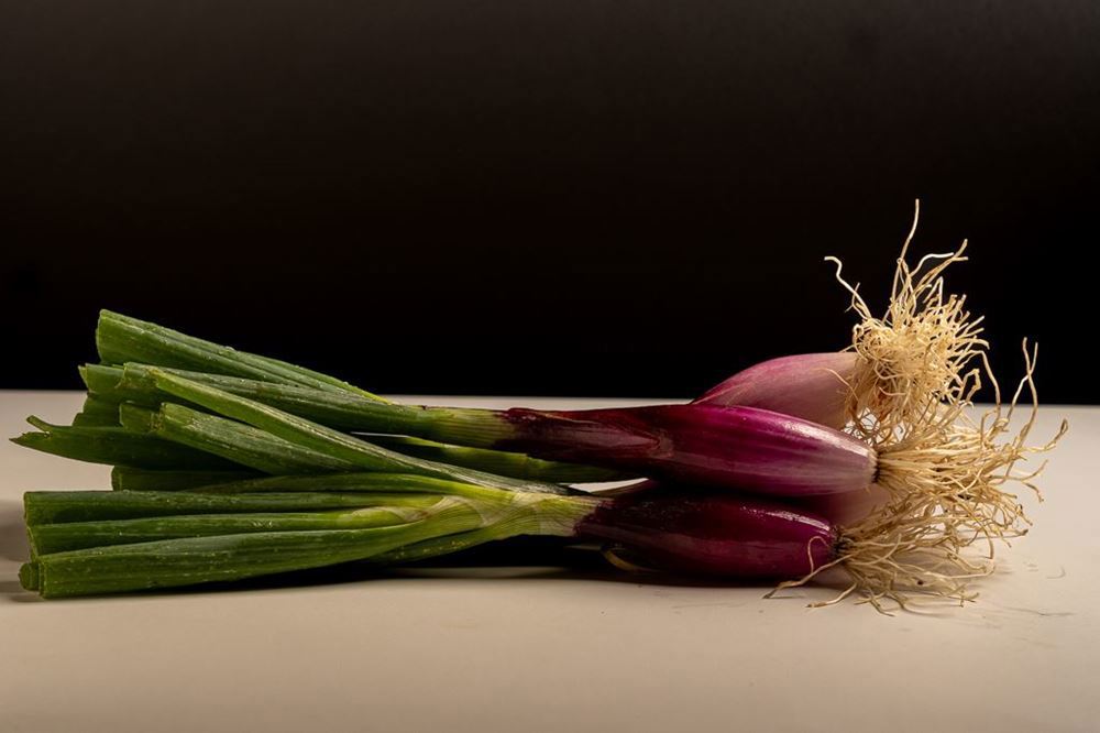Tropea red onions (bunch)