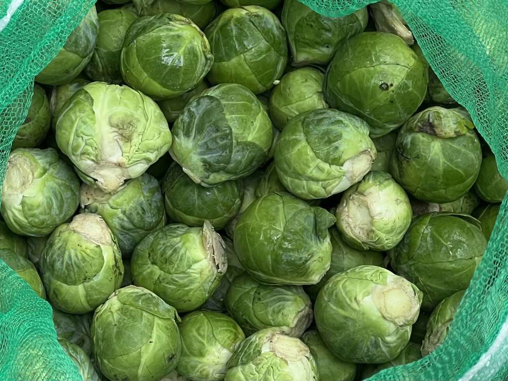 Organic Brussels Sprouts (600g)