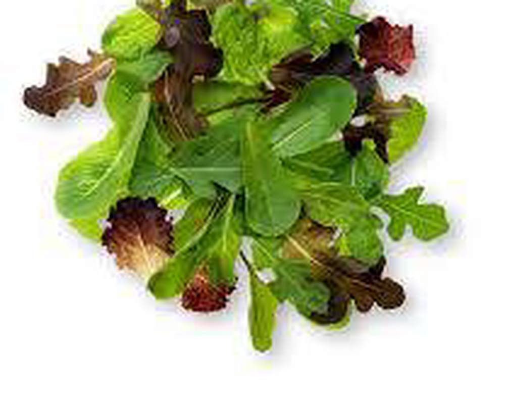 Lettice Mix (1lb)