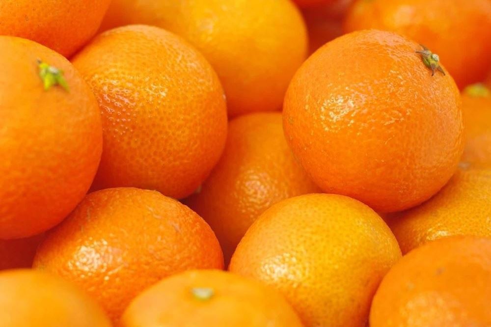 Orange - Seville (Marmalade)