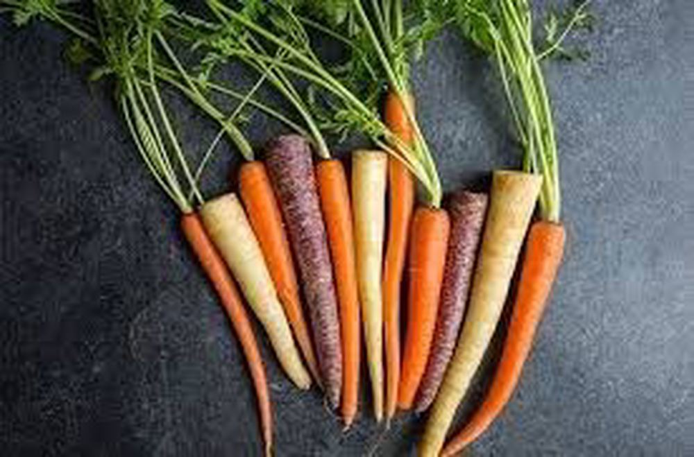 Carrot: Rainbow