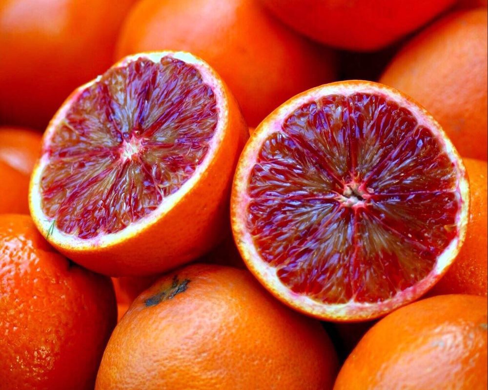 Organic Blood Oranges