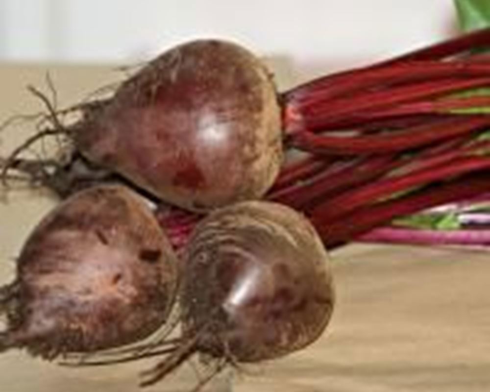 Beetroot - Bunched