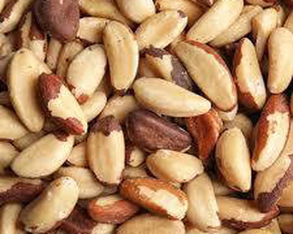 Nuts - PI'Y Brazil Nuts