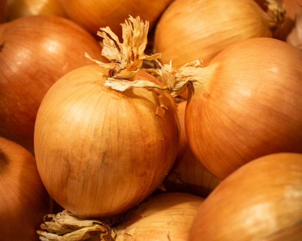 Organic New Season Onions