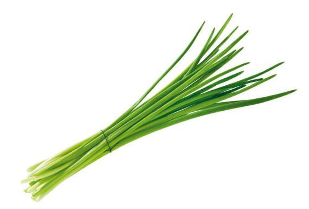Chives