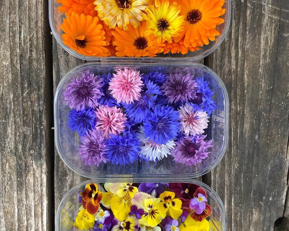 Edible flower punnet