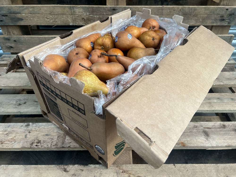 Pears - Beurre Bosc