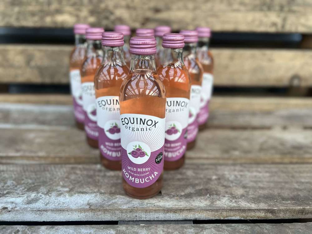 Kombucha: Wild Berry