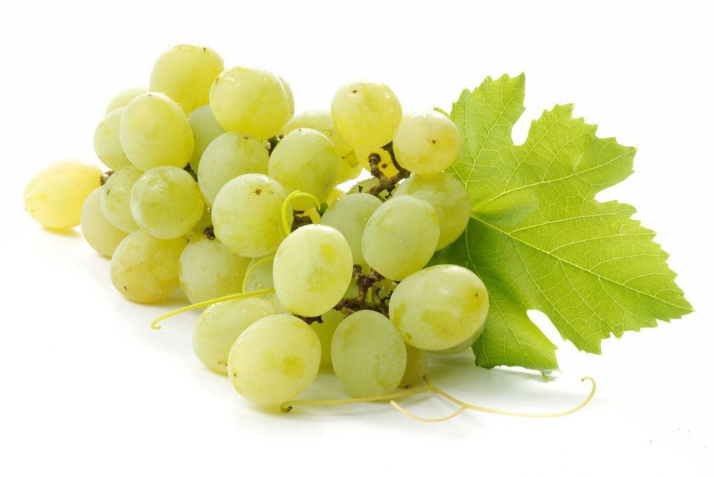 Organic Grapes White Seedless (500g)