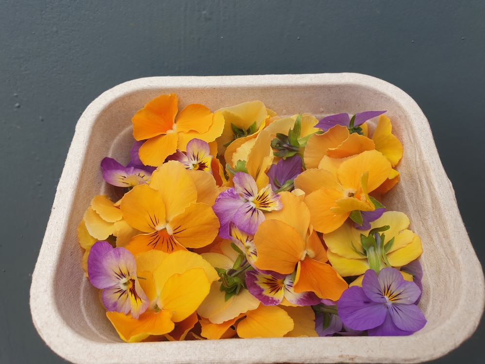 Edible Flowers Viola Orange & Purple Mix