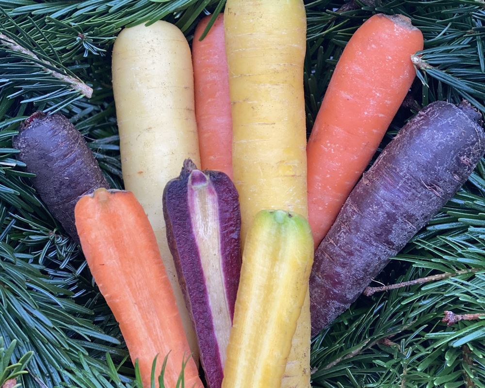 Carrots, Rainbow - approx 500g - Organic
