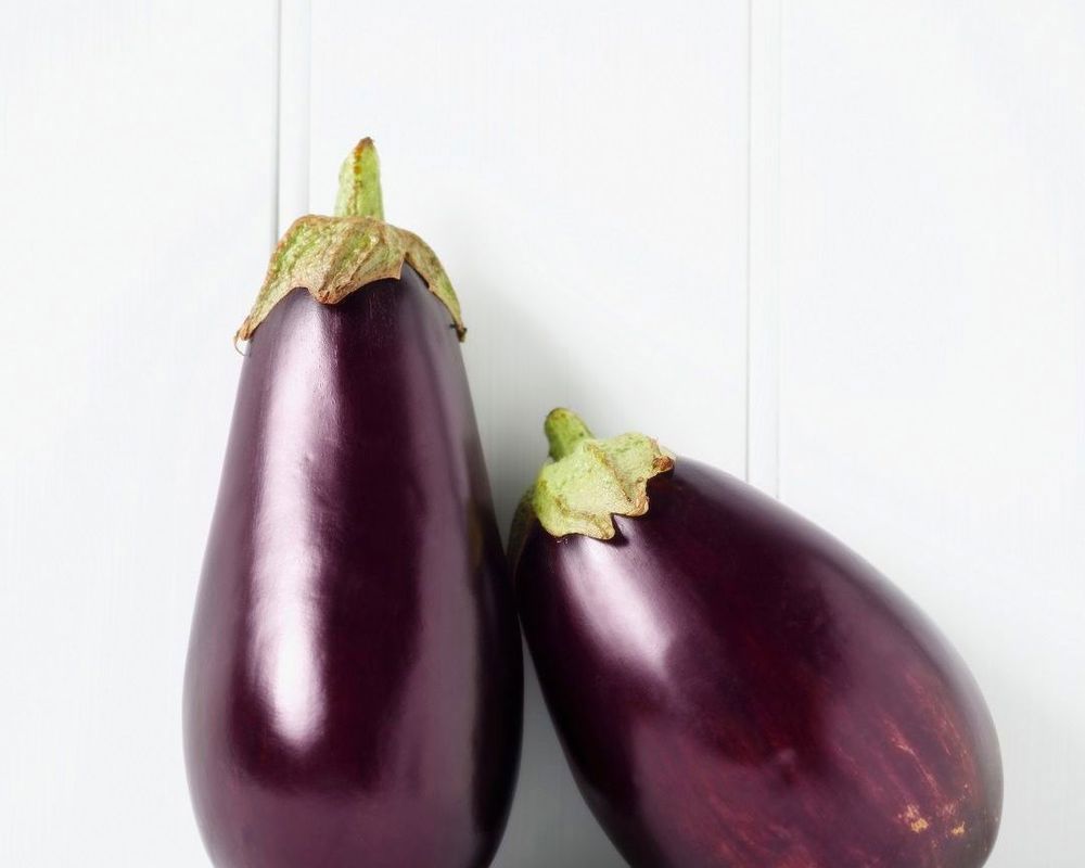 Aubergine