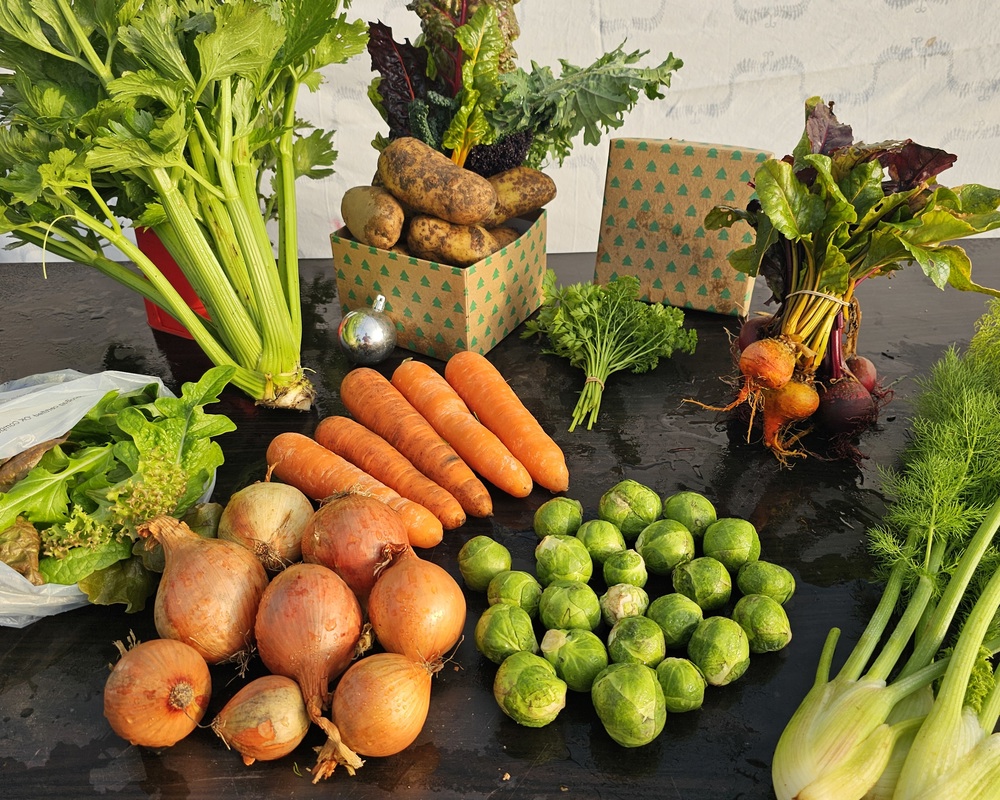 Sponsor an Organic Christmas veg box