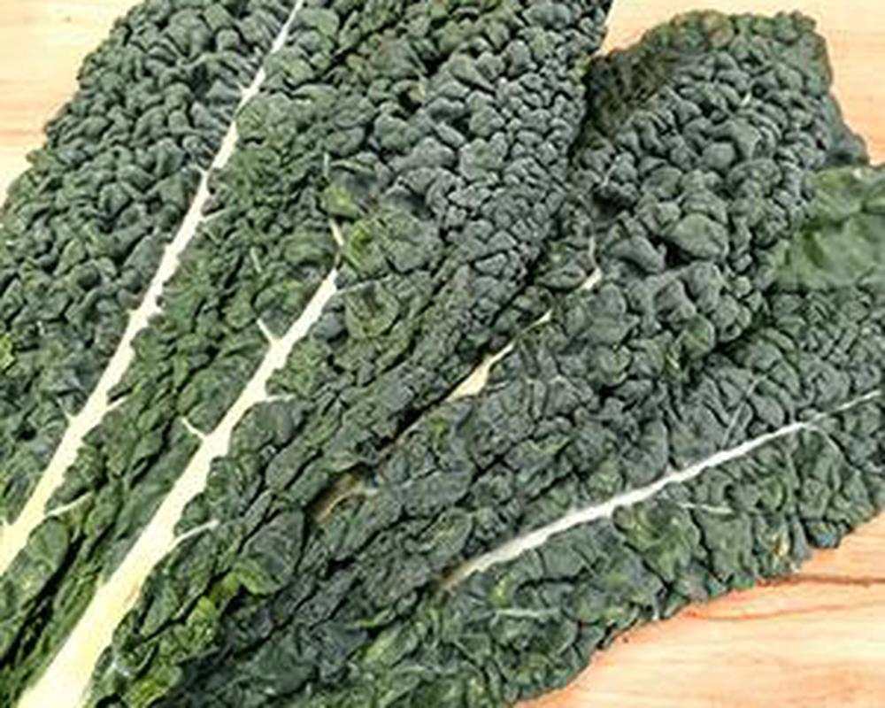 Organic Cavolo Nero