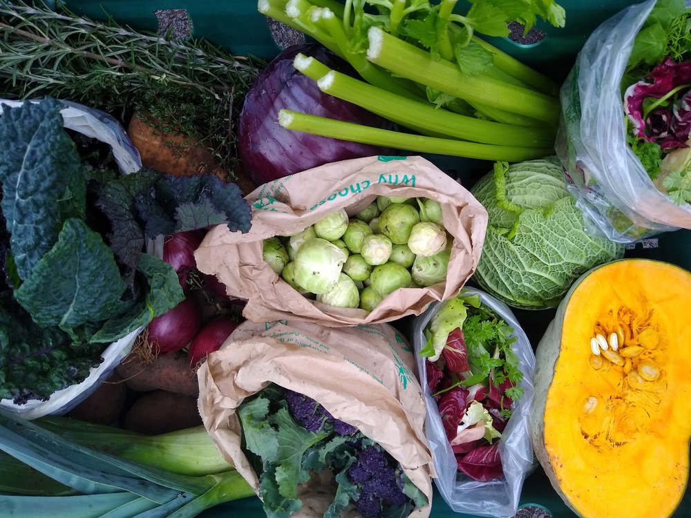 BUMPER CHRISTMAS VEG BOX