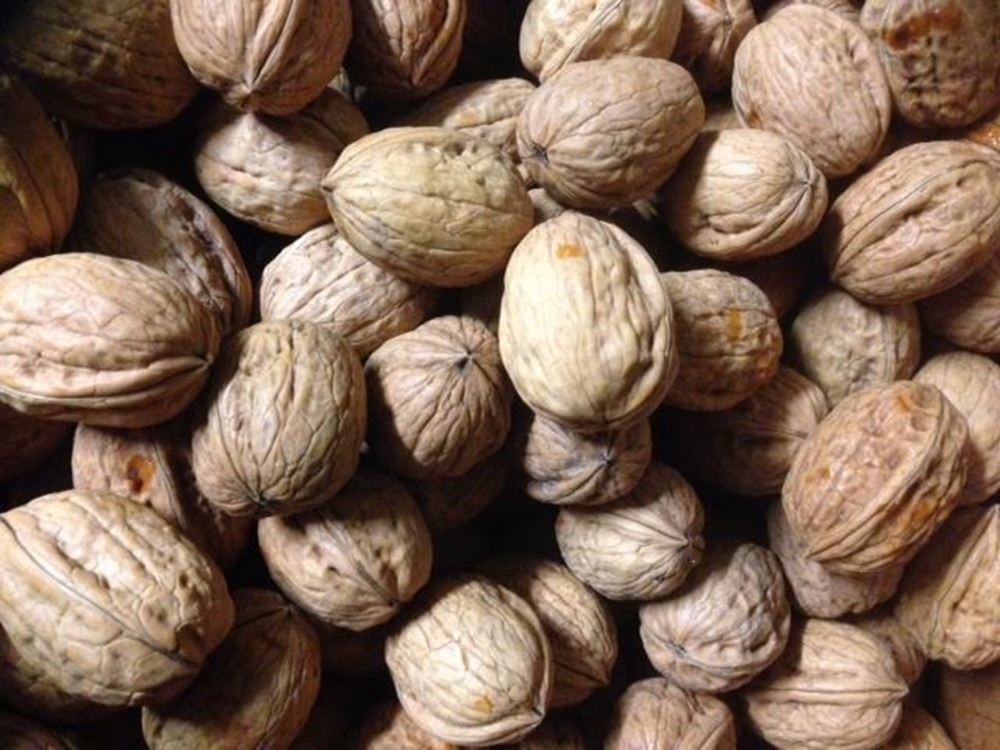 Nuts-Walnuts