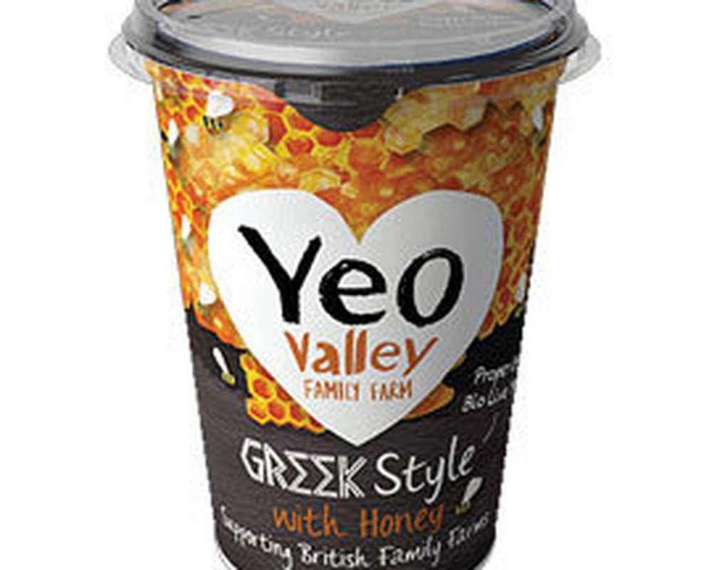 Yogurt Greek Style with Honey - Organic