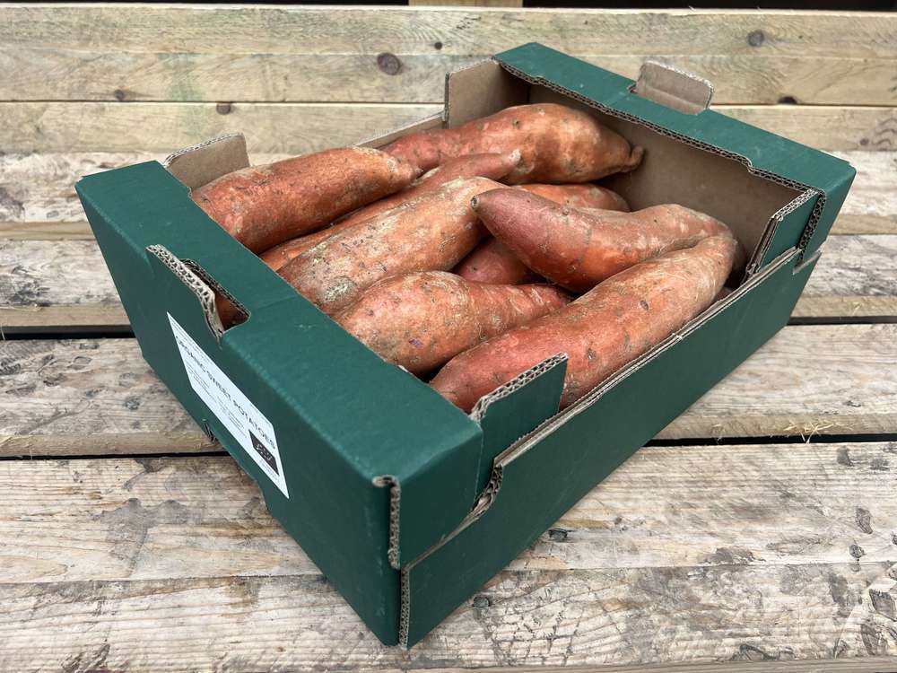 Organic Sweet Potato