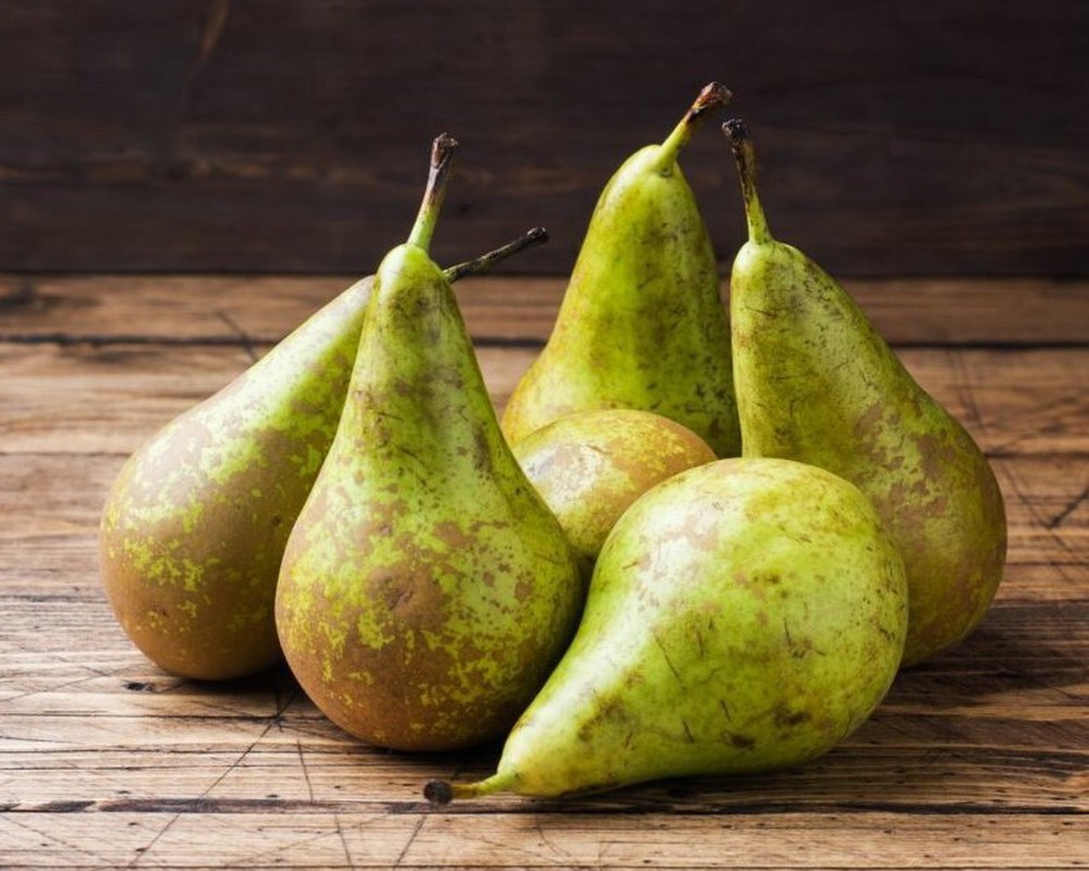 Pear: Conference