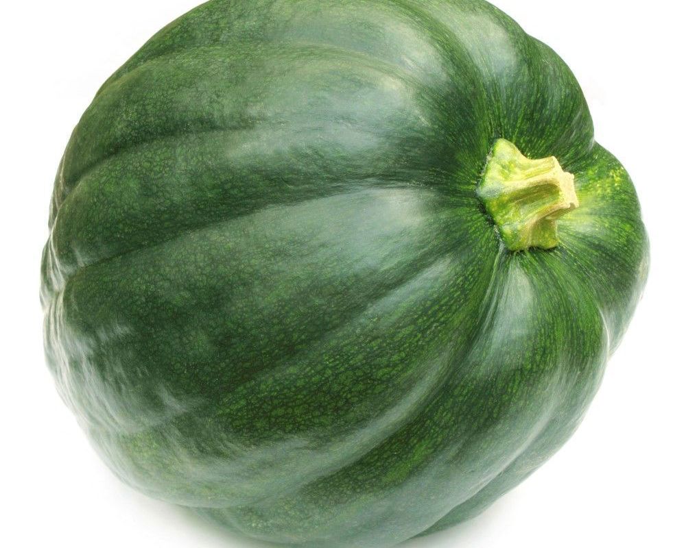 Squash: Uchiki Kuri